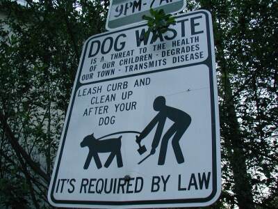 Dog Waste